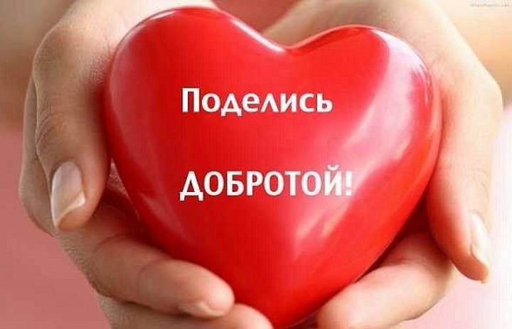 Добрые поступки людей