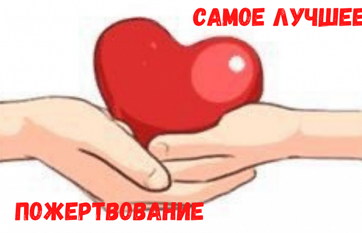 Самое  лучшее пожертвование