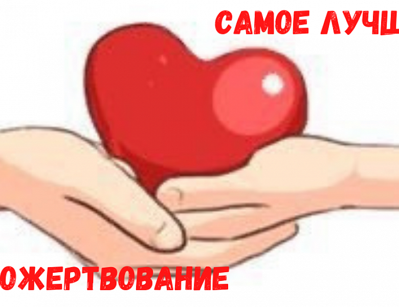 Самое  лучшее пожертвование